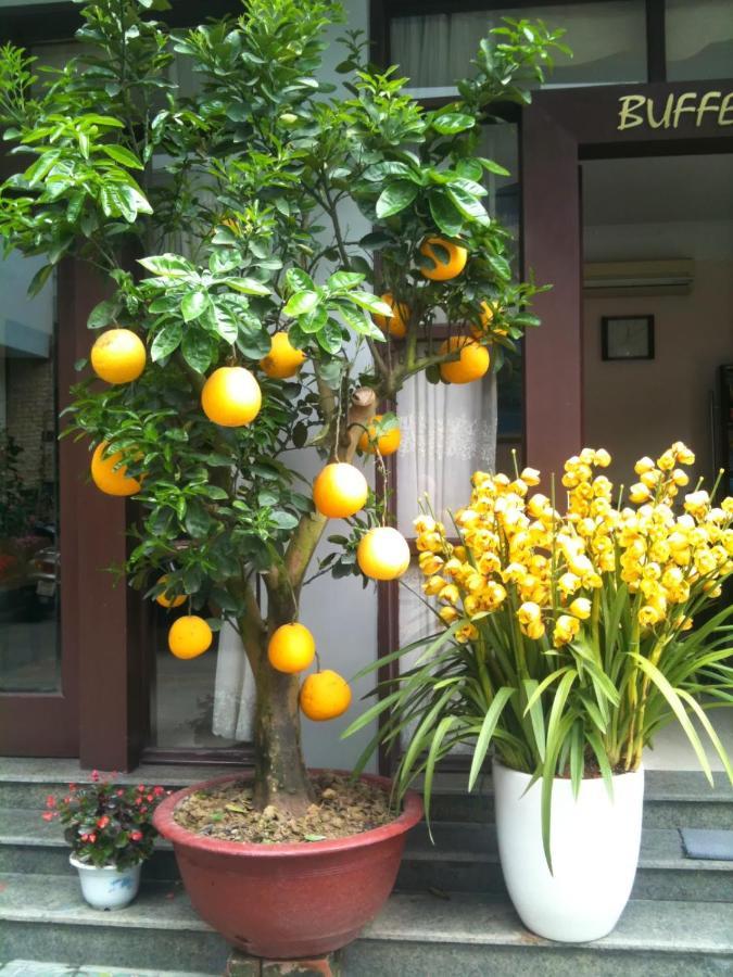 Thien Anh Hotel Hai Phong Eksteriør bilde